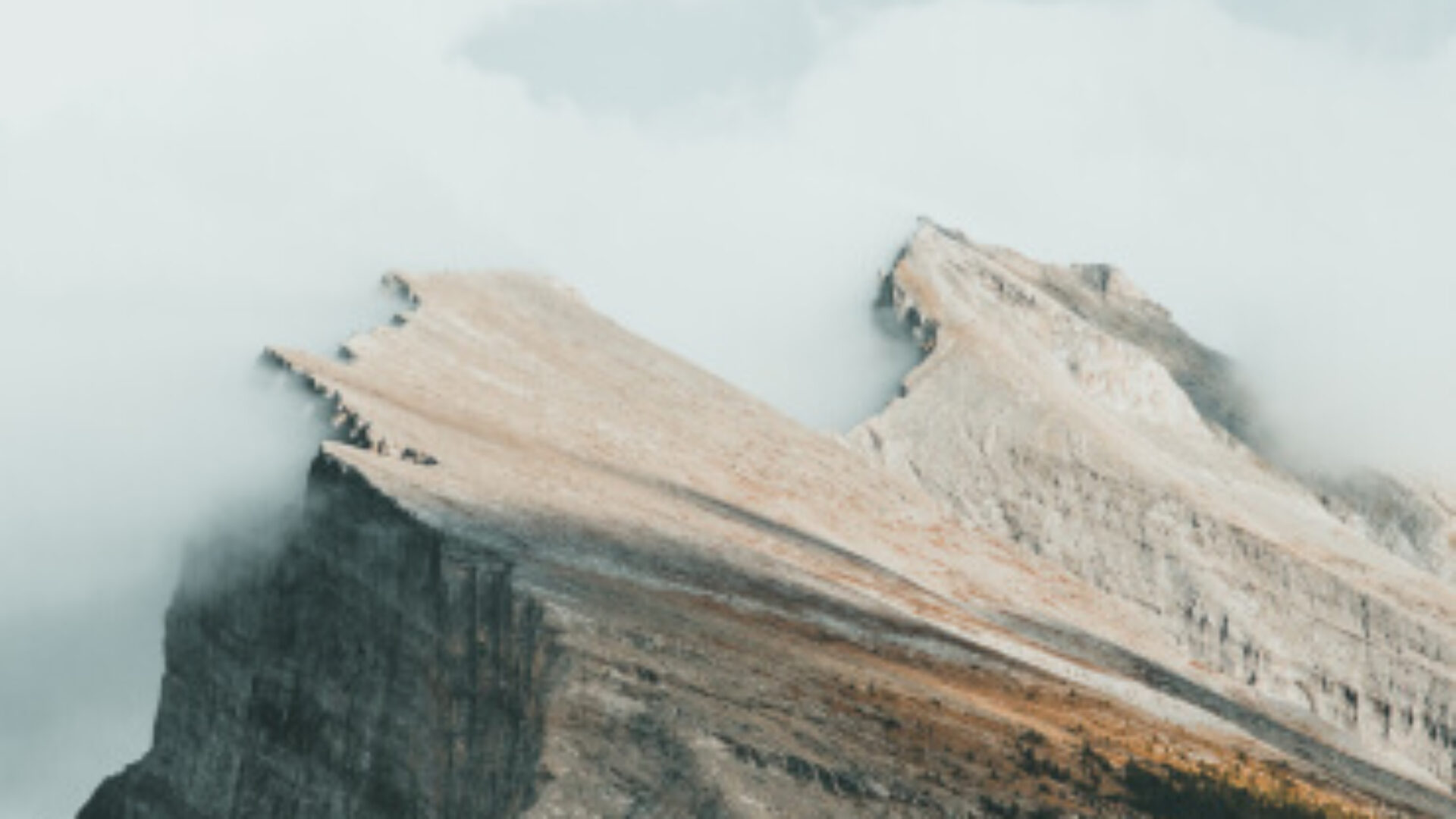 Curabitur id nisl nec neque eleifend malesuada.