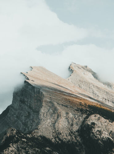 Curabitur id nisl nec neque eleifend malesuada.